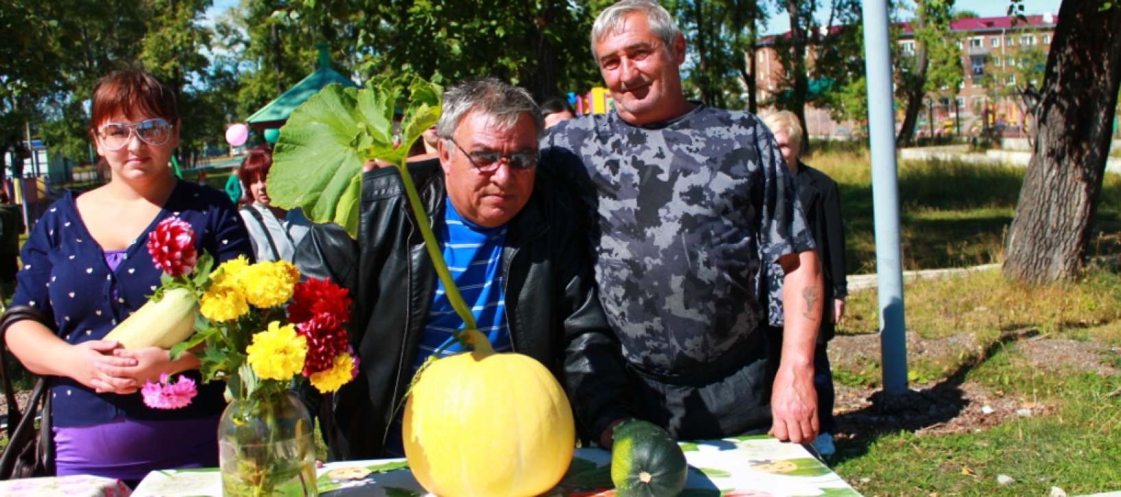 баннер2