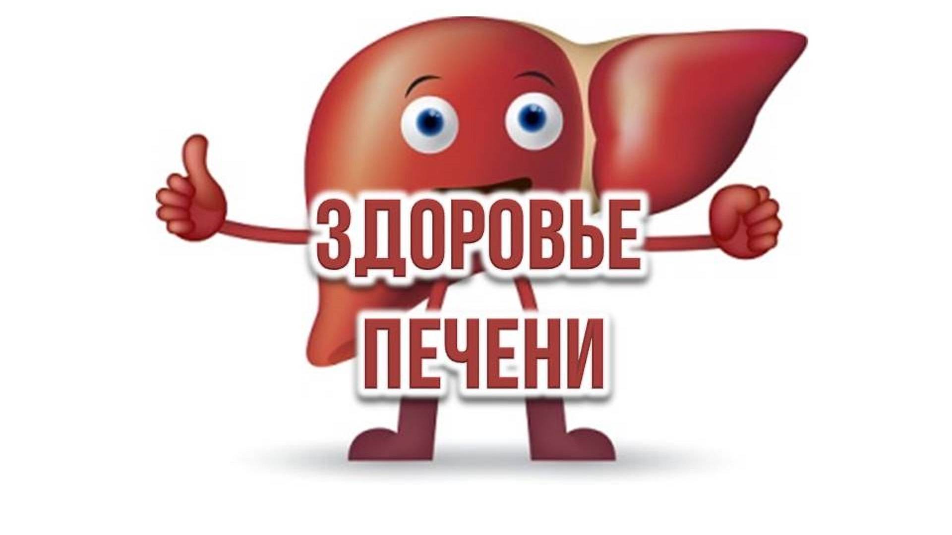 Неделя профилактики заболевания печени