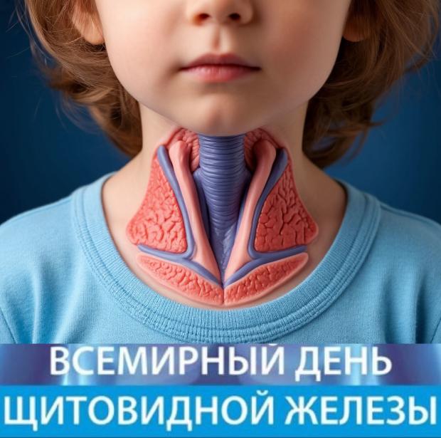 Здоровье эндокринной системы