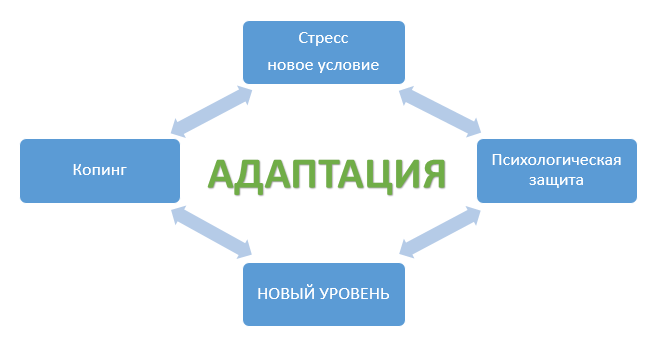 Адаптация